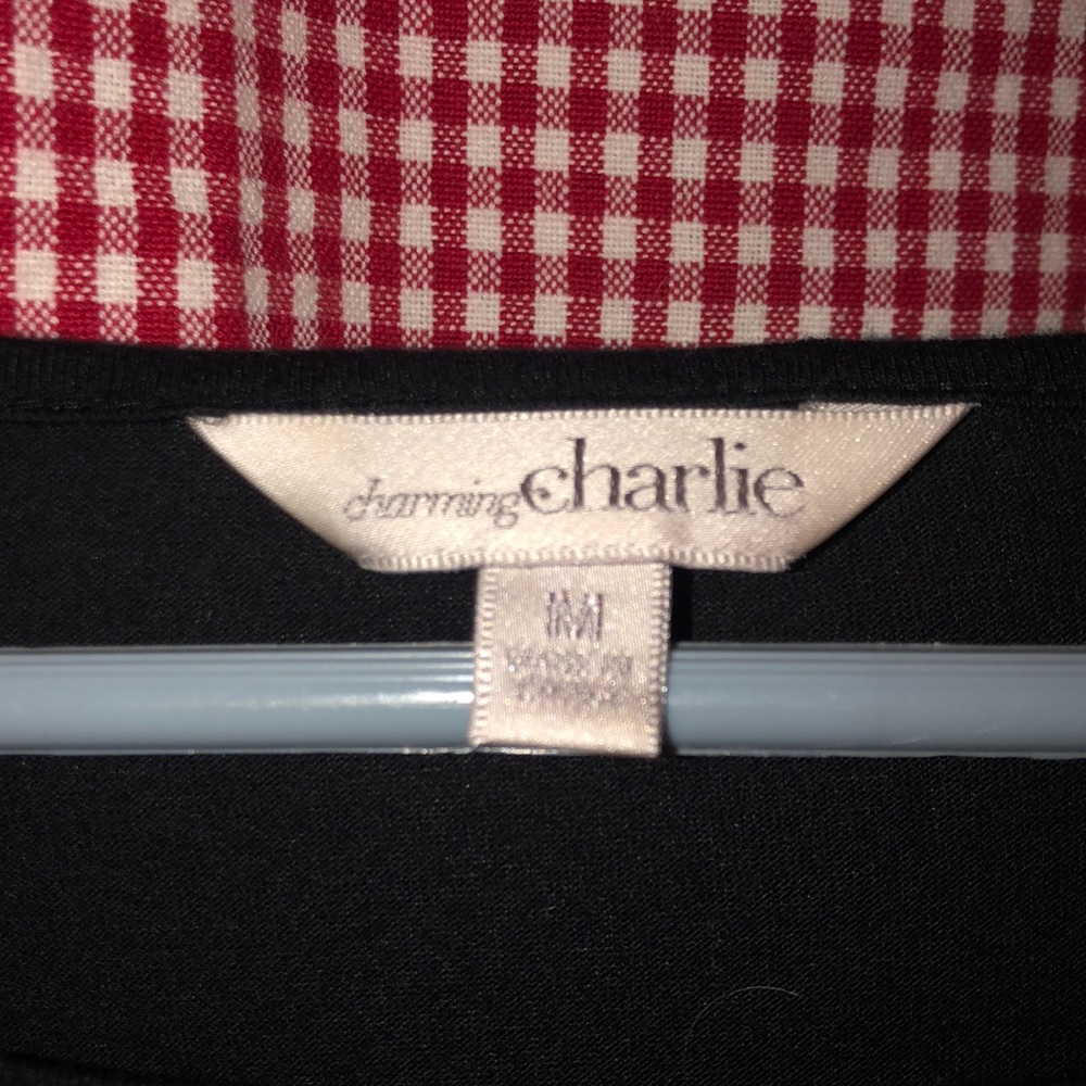 Charming Charlie Top - Picture 3 of 3
